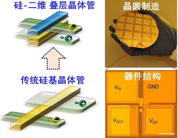 突破！复旦团队发明晶圆级硅基二维互补叠层晶体管插图